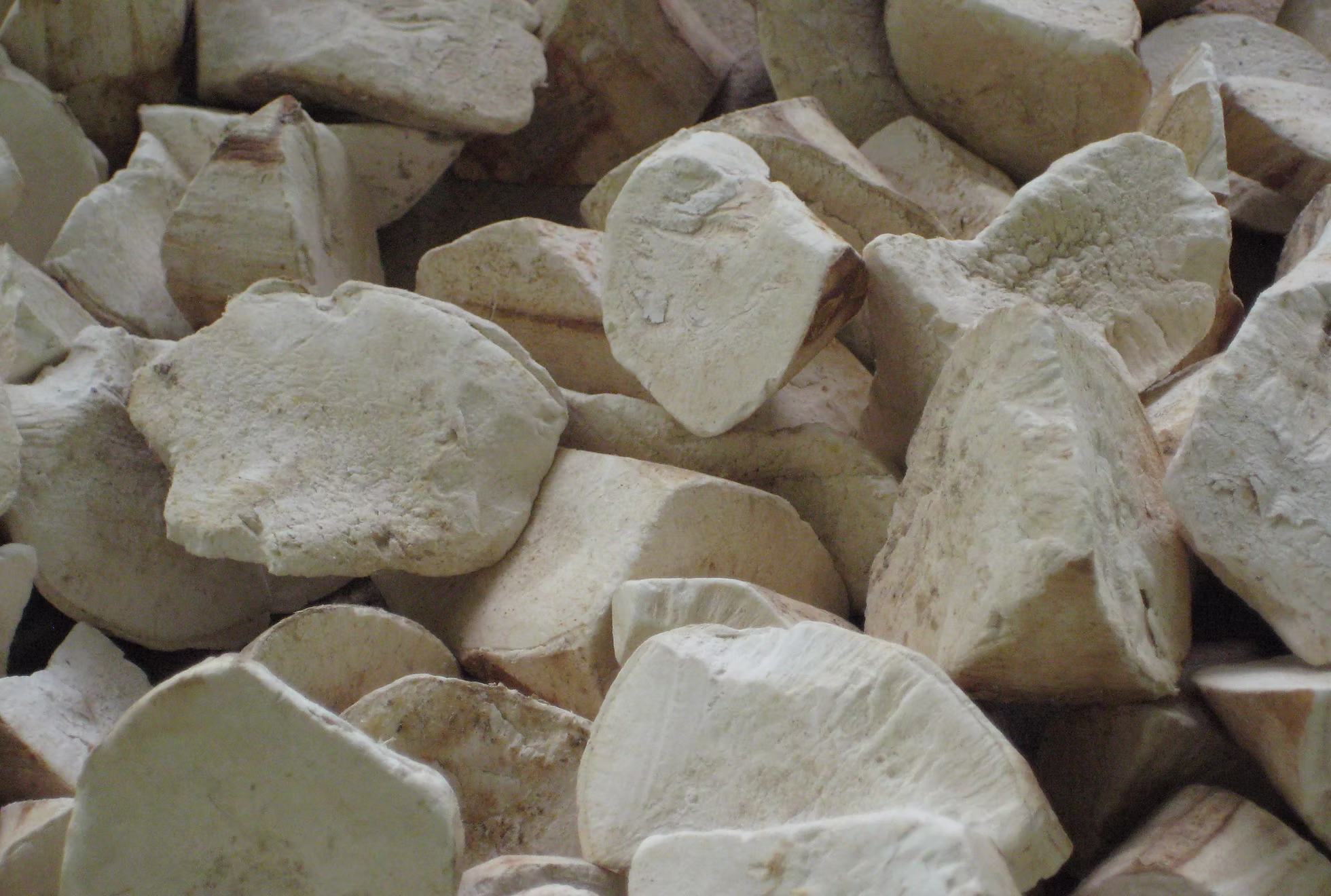 Dried tapioca chips Grade 1 — cut cassava pieces