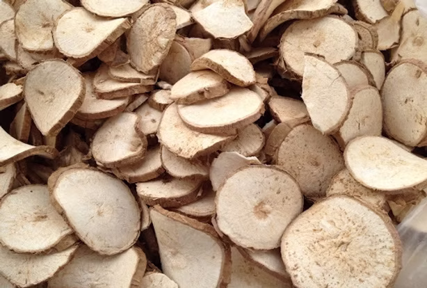 Tapioca Chips Grade 2 — dried cassava slices