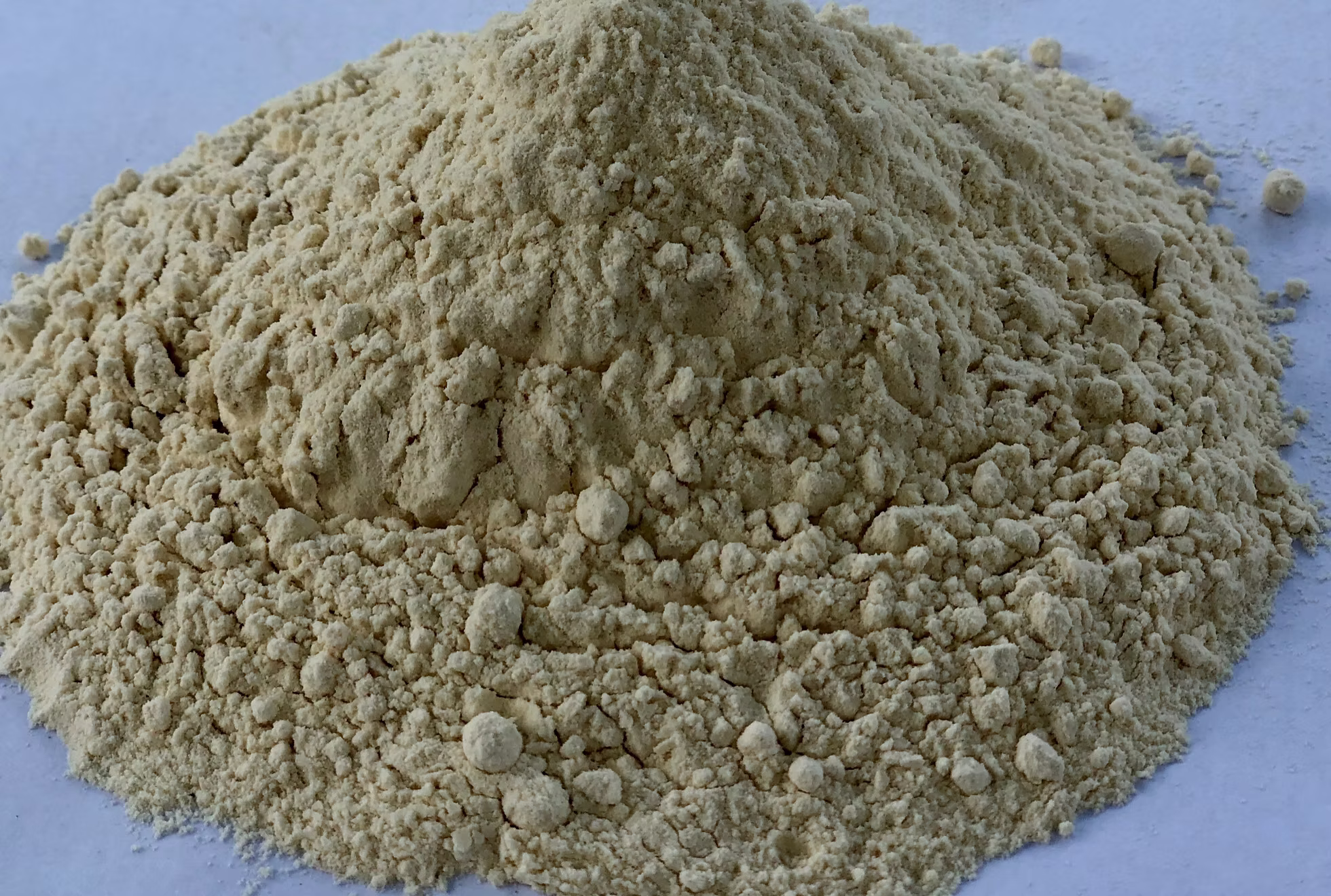 Tapioca Powder Grade 3 — 50-mesh feed-grade powder